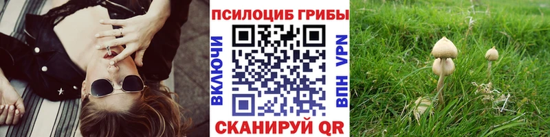 Галлюциногенные грибы мицелий  Элиста 