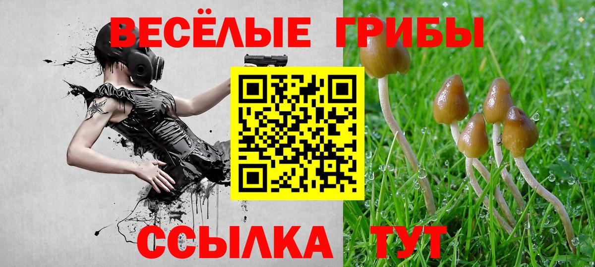 Псилоцибиновые грибы Magic Shrooms  Псилоцибиновые грибы ЛСД  Вход с VPN  Элиста 