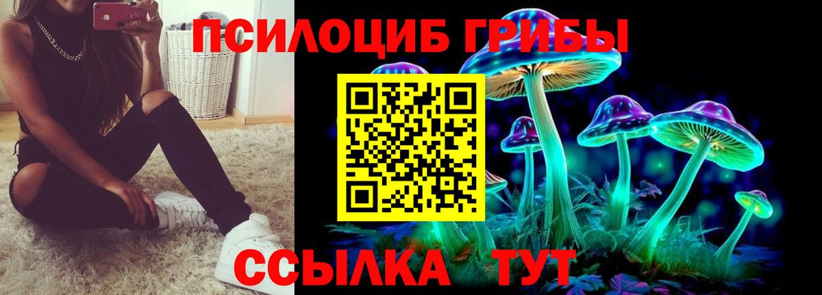 Псилоцибиновые грибы MAGIC MUSHROOMS Элиста